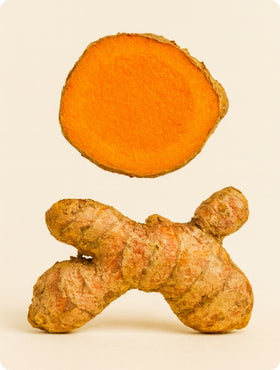 Organic fermented turmeric powder supporting digestive comfort, antioxidant defense and a healthy gut environment.