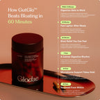Timeline showing how GutGlo™ supports digestion from fast bloating relief in as little as 60 minutes to long-term microbiome balance over 60 days.